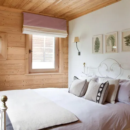 Appartement Superbe Avec Cheminée Et Vue Mont-blanc - Fr-1-343-192 Chamonix