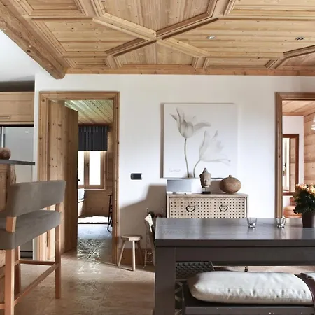 Appartement Superbe Avec Cheminée Et Vue Mont-blanc - Fr-1-343-192